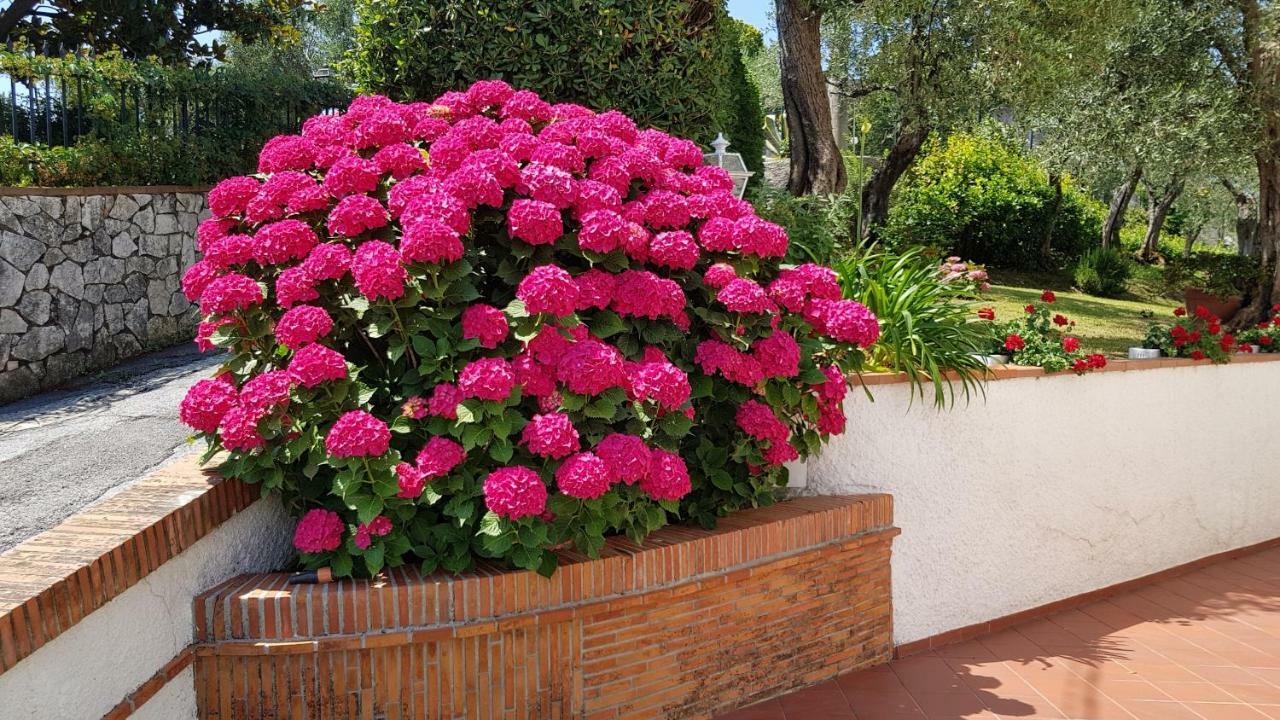 Casa Vittoria Villa Corsanico-Bargecchia Exterior photo